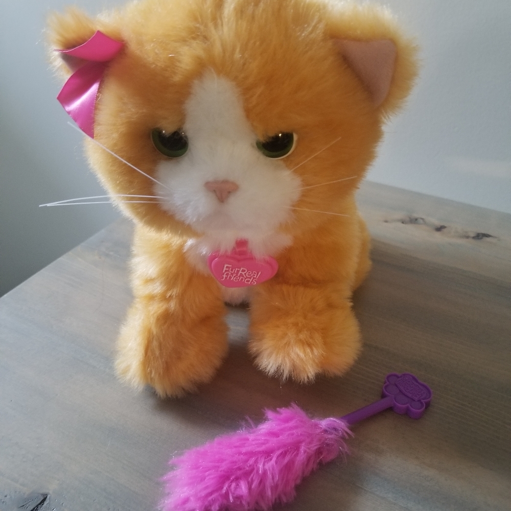 FurReal Friends Daisy Plays-with-me-Kitty.